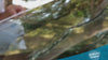 difference hydrophobic coating for windshield makes
